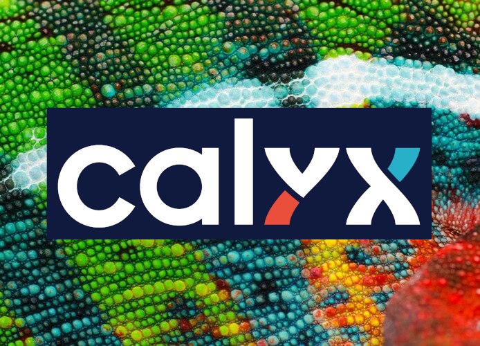 Calyx